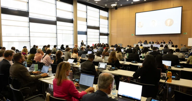 XİN nümayəndəsi: Azərbaycan COP29 Sədrliyi çərçivəsində iqlim şəffaflığına xüsusi önəm verir