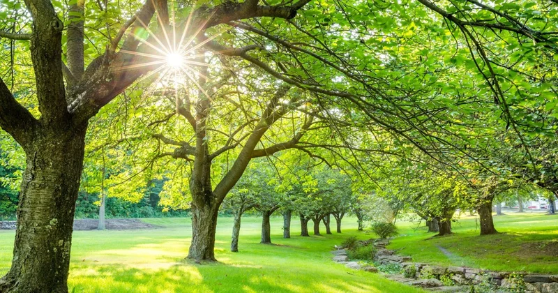 İyunun 19 da havanın temperaturu dəyişəcək