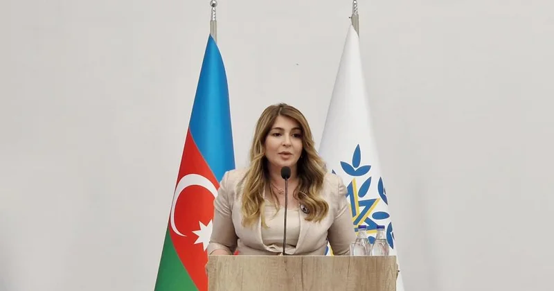 Bəyannamə ölkəmizin beynəlxalq nüfuzunu artırır