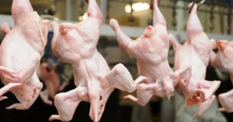 Азербайджан работает над поставками мяса птицы в Китай