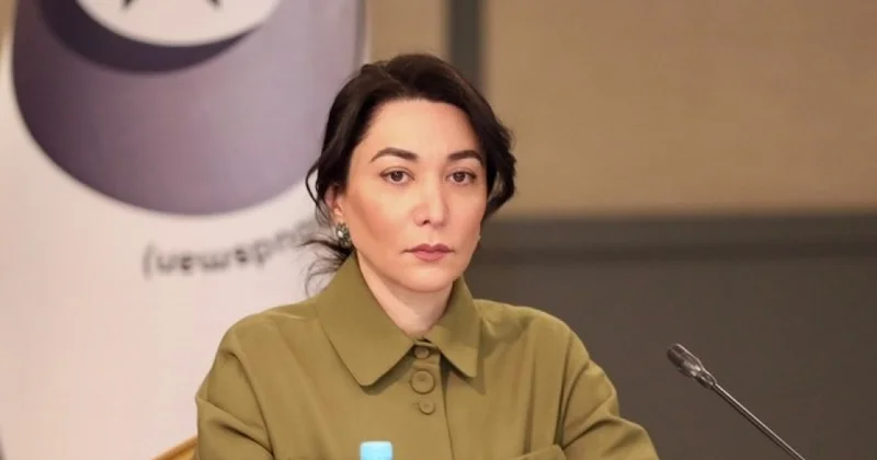 Səbinə Əliyeva: Qanunun aliliyi insan hüququnun ən mühüm təminatçısıdır