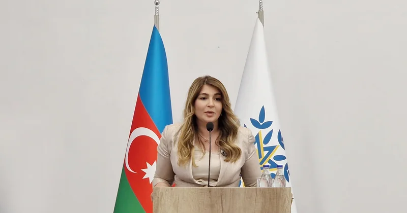 Bəyannamə ölkəmizin beynəlxalq nüfuzunu artırır