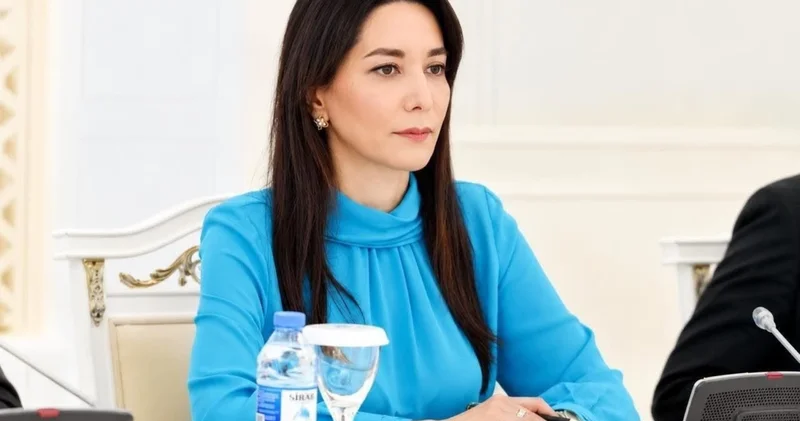 Укрепление культуры прав человека зависит от активной гражданской позиции Сабина Алиева (Интервью)