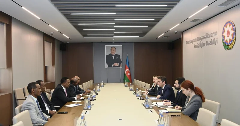 Yalçın Rəfiyev IGAD ın icraçı direktoru ilə görüşüb (Foto)
