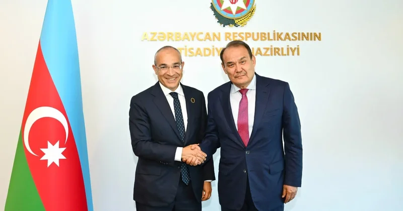 Mikayıl Cabbarov Türk İnvestisiya Fondunun rəhbərliyi ilə görüşüb