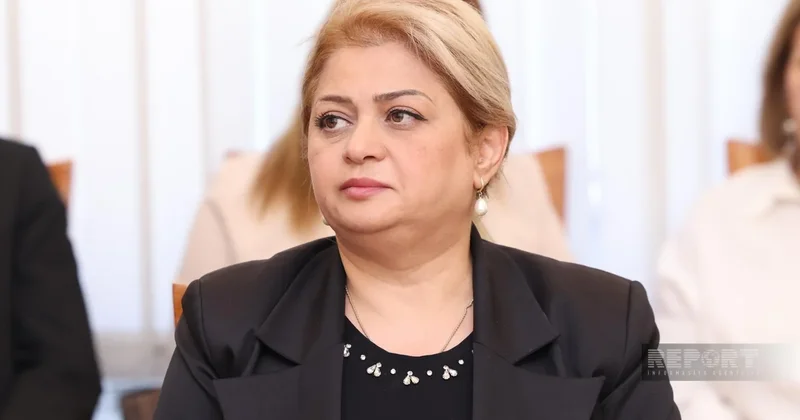 В Азербайджане подготовят законодательную инициативу о регулировании деятельности психологов