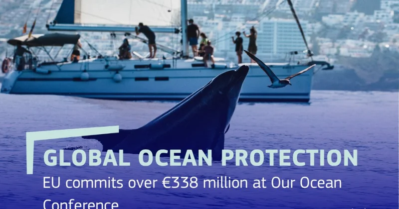 Aİ okeanların qorunmasına 338 milyon avrodan çox vəsait ayırıb