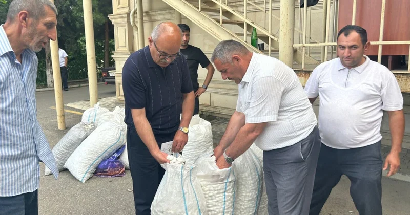 Tərtər kümçüləri mövsümün ilk günlərində 2200 kiloqrama yaxın barama tədarük ediblər