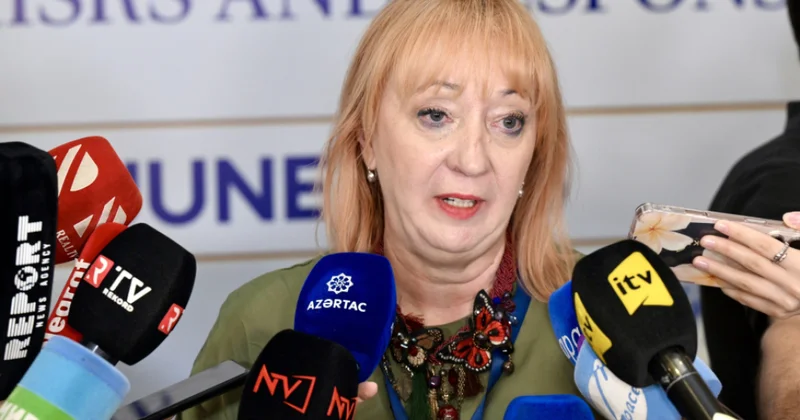 Bosniya və Herseqovinanın ombudsmanı: Milli insan hüquqları təsisatları yeni çağırışlarla məşğul olmaq öhdəliyi daşıyır