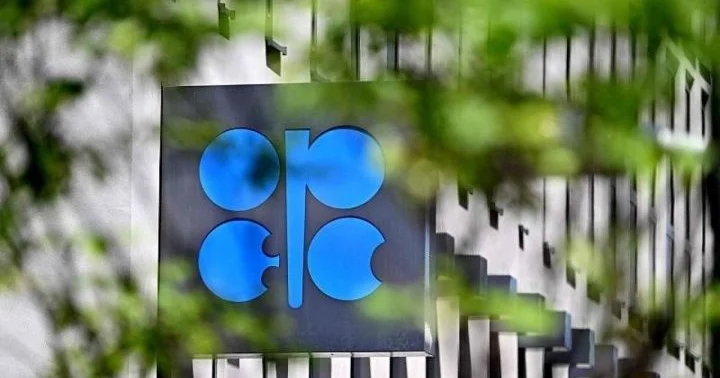 OPEC 2050 ci ilədək qlobal enerji istehlakının 23% artacağını gözləyir
