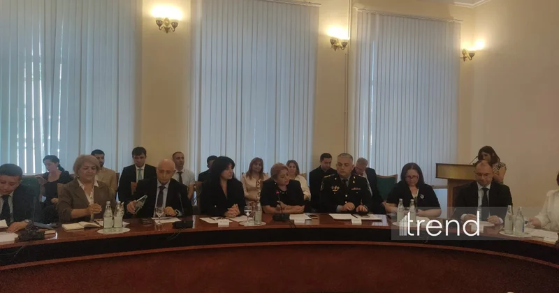В Азербайджане предложено обучать детей цифровой безопасности с дошкольного возраста