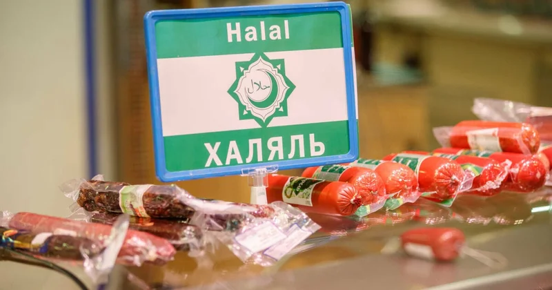 Под знаком полумесяца