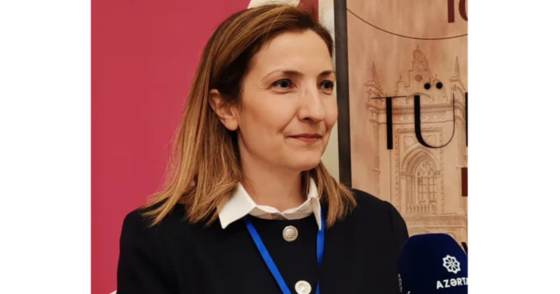 Professor: Azərbaycan Cənubi Qafqazda və Türk dünyasında geosiyasi əhəmiyyətini daha da gücləndirib