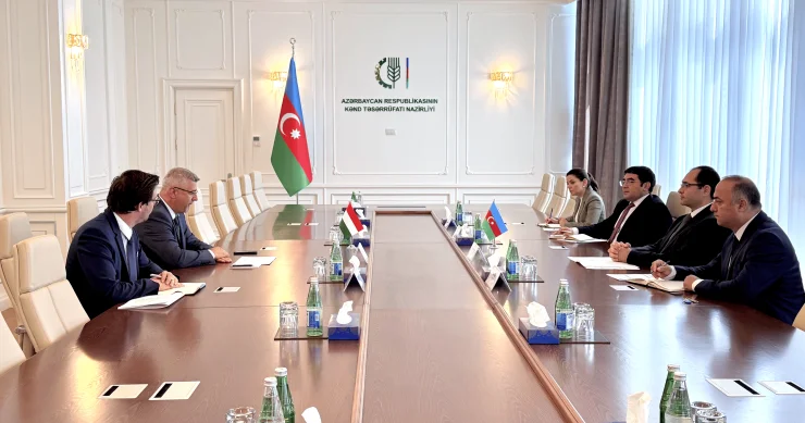 Məcnun Məmmədov Macarıstanın Azərbaycandakı səfiri ilə görüşüb