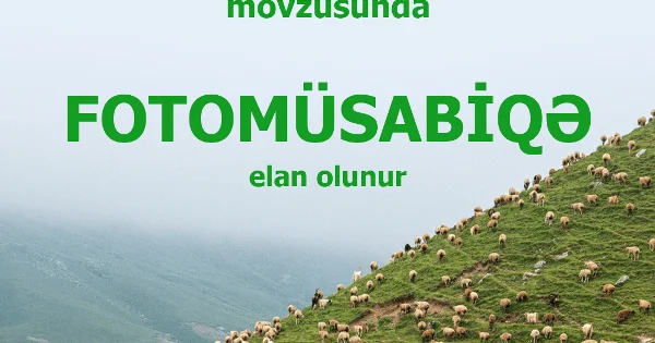 “Azərbaycanda kənd təsərrüfatı” mövzusunda fotomüsabiqə elan edilib