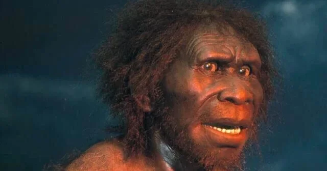 Найденный в Китае древний череп заставил ученых пересмотреть историю человечества