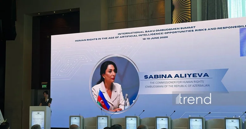 ИИ создает новые вызовы в сфере прав человека Сабина Алиева