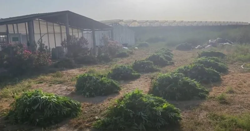 Polis Maştağada xüsusi əməliyyat keçirib