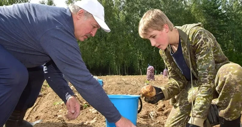 Лукашенко потребовал не шутить с картошкой, чтобы неполучить по ушам