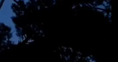 Nizami rayonunda uşaq parkı zülmət içində Video