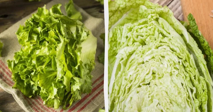 Salatın 10 gün təzə qalması üçün soyuducuda necə saxlamalı?