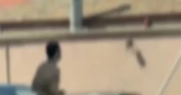 Bakıda magistral yolda lüt gəzən gənc saxlanıldı