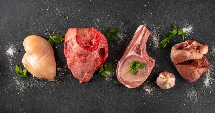 Populyarlaşan Carnivore pəhrizi ürək damar xəstəliklərinə səbəb ola bilər