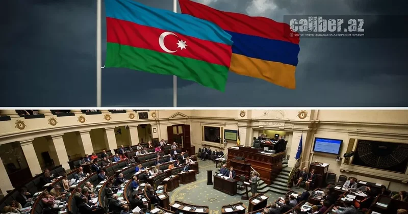 Мартышкин труд бельгийских парламентариев Кто спонсор провокации?