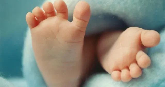 Dünyada ilk dəfə süni yolla uşaq yaratdılar