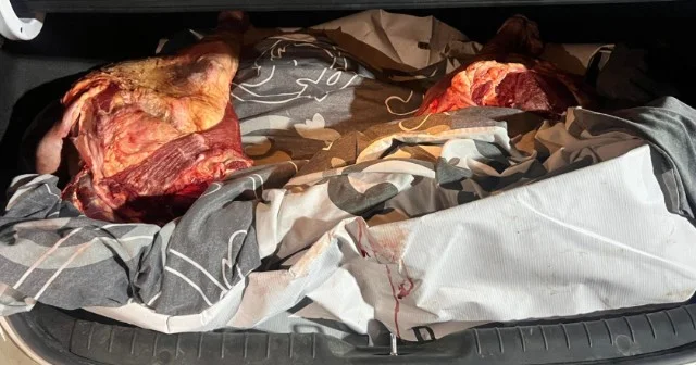 Postda 130 kiloqram yararsız ət aşkarlandı FOTO