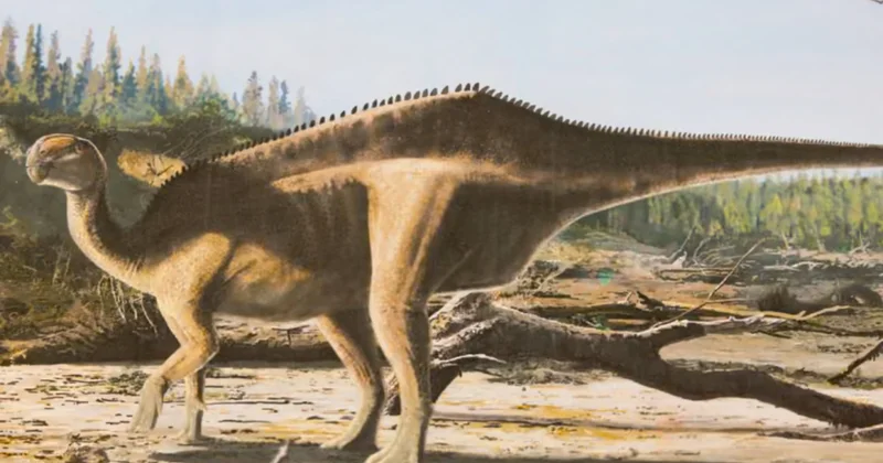 Alimlər dinozavrları məhv edən asteroidlə bağlı yeni sirri açdılar