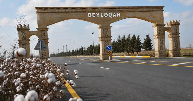 Beyləqanda “pambıqla baş kəsən” kimlərdir? “Ağ qızıl” üzərində qara əməliyyatlar… KONKRET