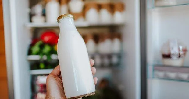 Названы минусы обезжиренных молочных продуктов
