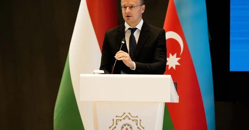 Azərbaycanın dostu barədə araşdırma başladı