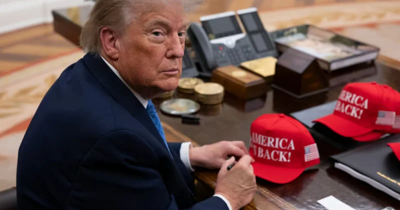 Сто тысяч за подписку на Трампа