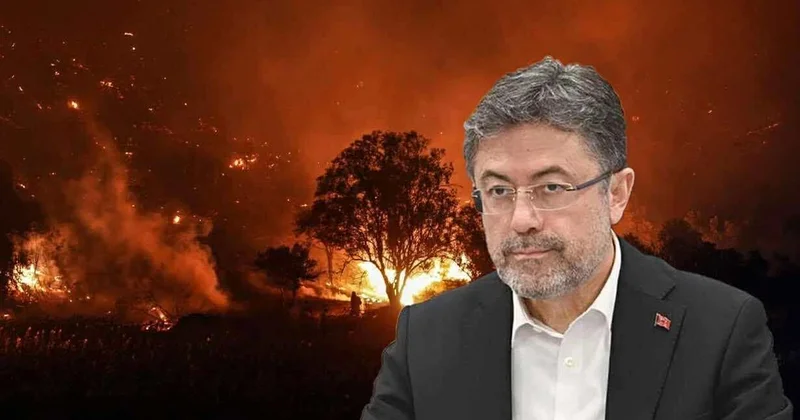Çanaqqala və Adana yanğınları nəzarət altına alınıb