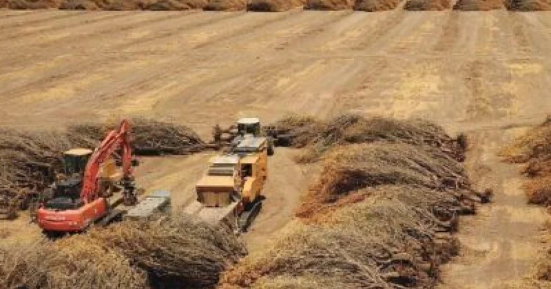 Yer kürəsində şirin su ehtiyatları sürətlə azalır Alimlərdən xəbərdarlıq