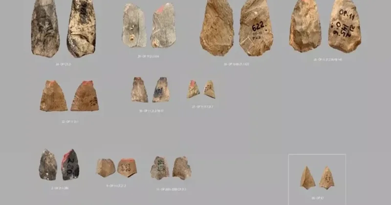 80 min illik sirr: Neandertallar ox işlətmiş ola bilər