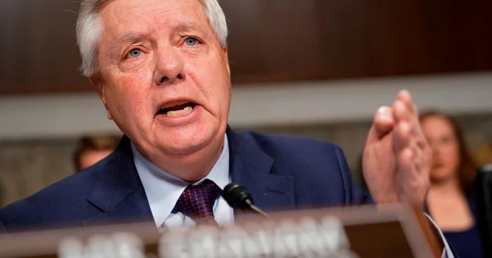 Senator Qrem Donald Trampa məsləhət verib