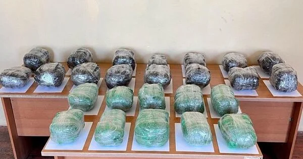 Kahı yeşiyindən 30 kq narkotik çıxdı Foto