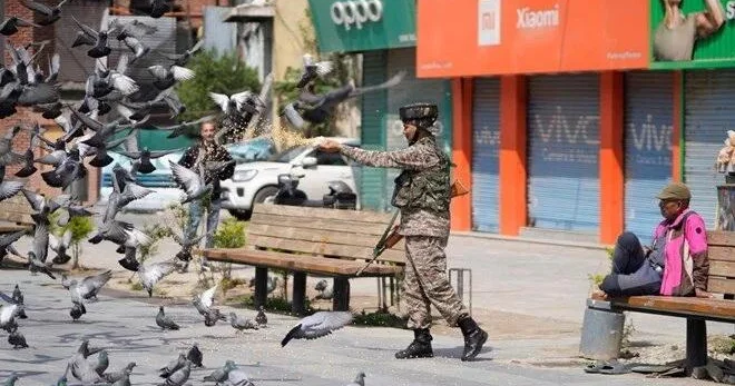 Göyərçin yemləmək qadağan edildi: Nəcisi ən pis xəstəliklər yaradır