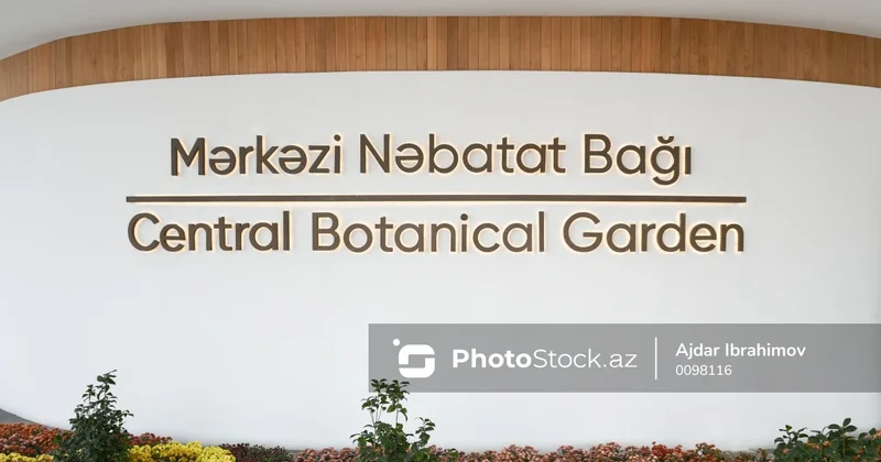 Nəbatat Bağında cücü problemi: Qızartılar və səpgilər yaranır