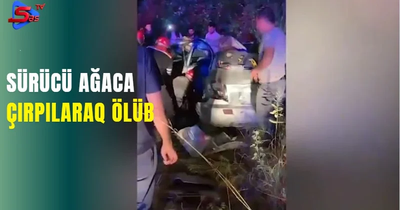 Sürücü ağaca çırpılaraq ölüb