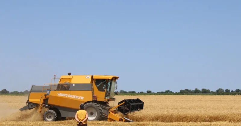 Qusarda 57 min 440 ton taxıl tədarük olunub