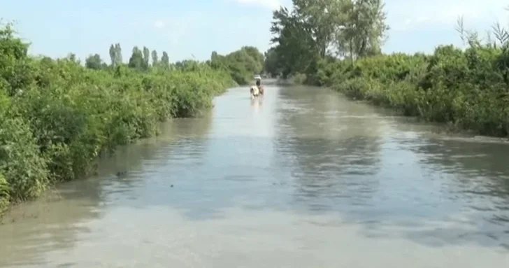 Стихийное бедствие в Загатале: село Ашагы Чардахлар под угрозой полного затопления