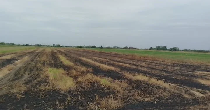 Bölgələrdə yanğınlara səbəb olan 3 nəfər saxlanılıb