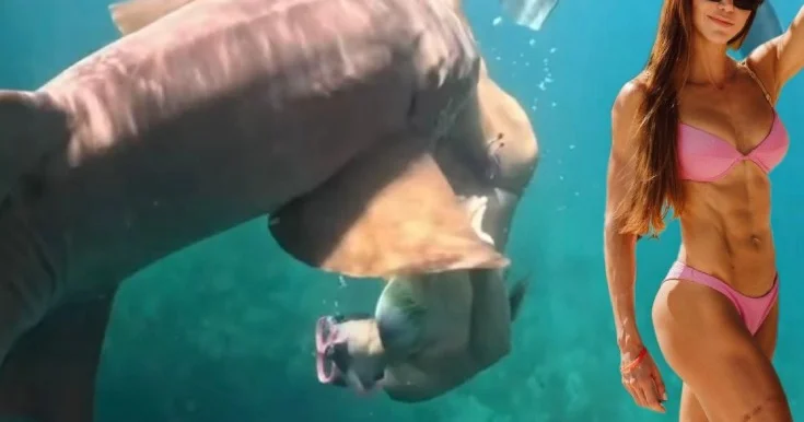 Köpəkbalığı tərəfindən hücuma məruz qaldığı anlar belə görüntüləndi Video