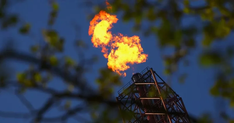Заявления Тегерана: нефть дорожает