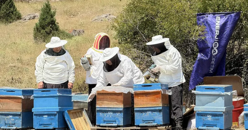 Arı pətəyi dəstəyini fürsətə çevirən qadınlar bölgənin zəngin florasını bala çevirir