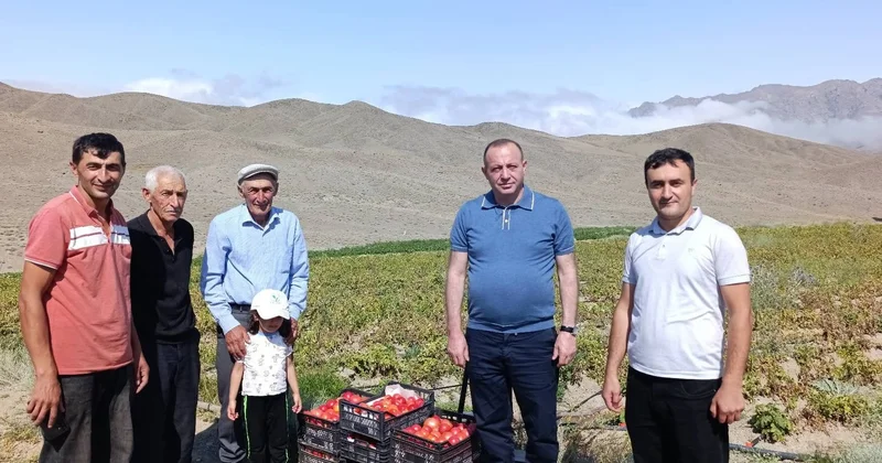 Milli Məclisin deputatı Vasif Qafarov fermerlərin yanında FOTO